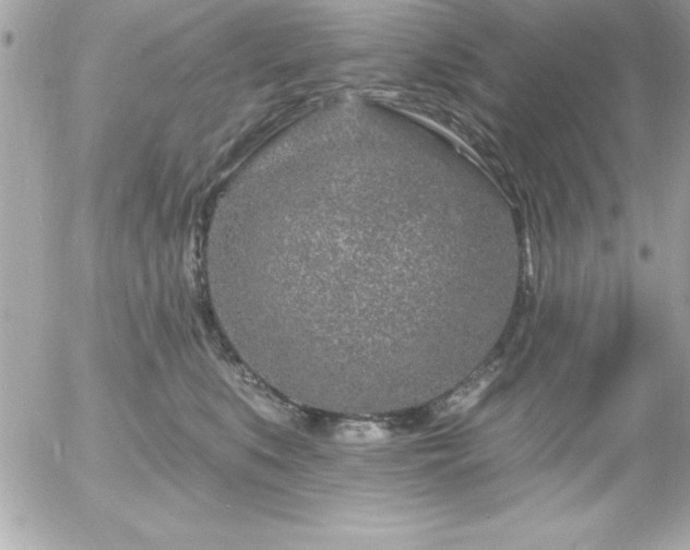 X0000055520519200508191549