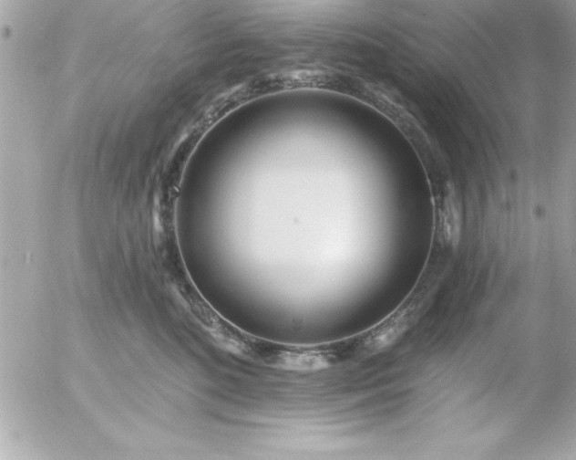 X0000055520520200508191549