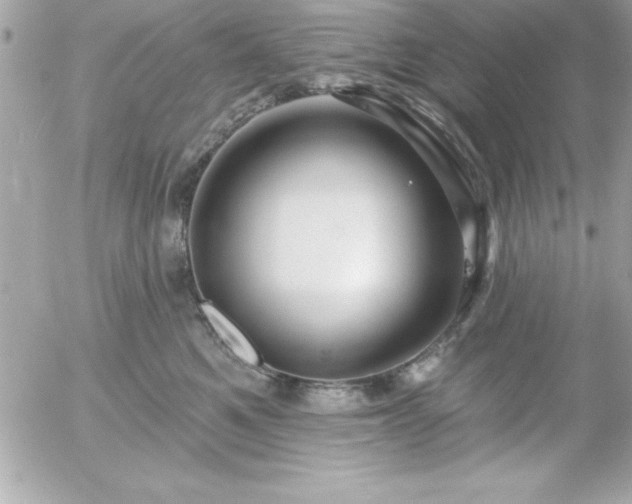 X0000055520521200508191549