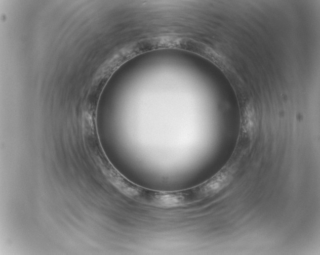 X0000055520522200508191549