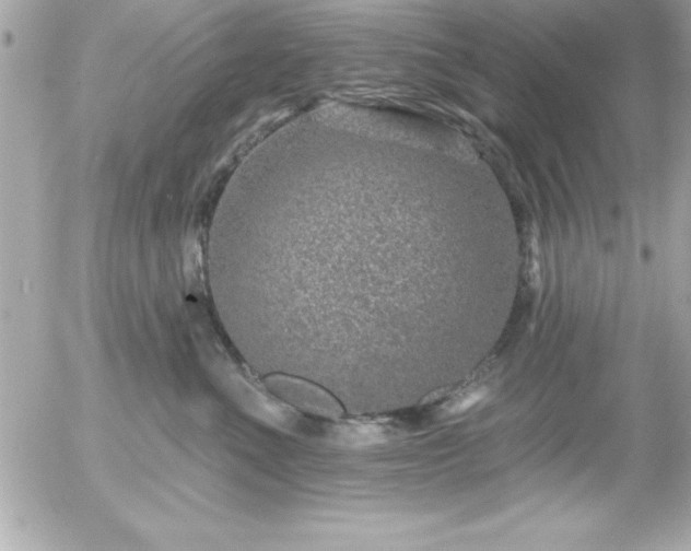 X0000055520523200508191549