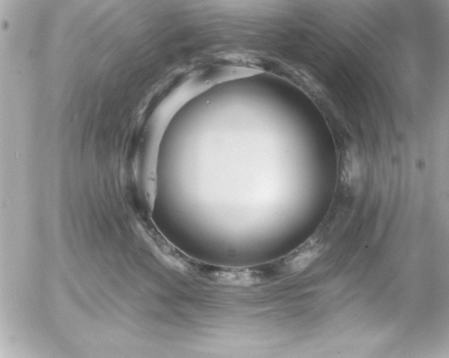 X0000055520524200508191549