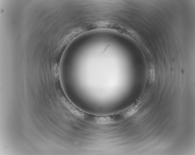 X0000055520525200508191549