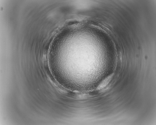 X0000055520527200508191549