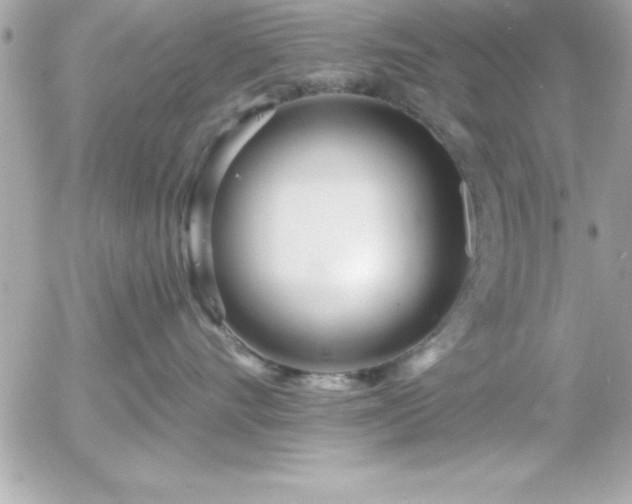 X0000055520528200508191549