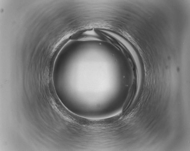 X0000055520530200508191548