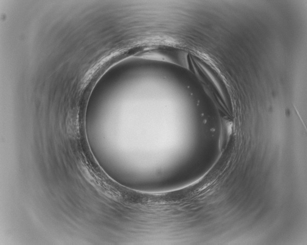 X0000055520531200508191548