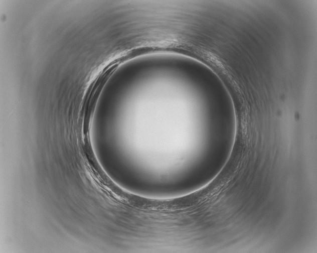 X0000055520532200508191548