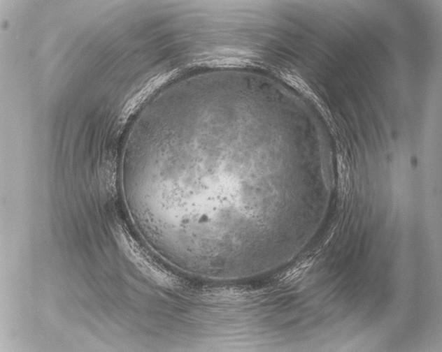 X0000055520533200508191548