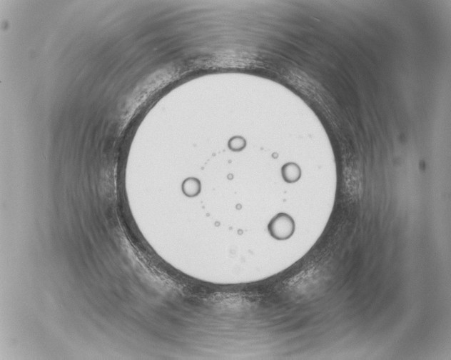 X0000055520534200508191548