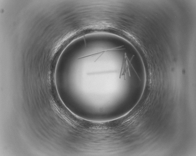 X0000055520535200508191548