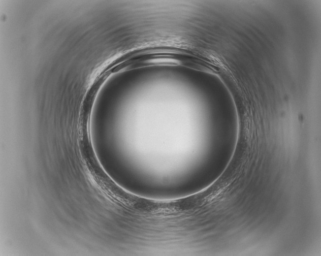 X0000055520536200508191548