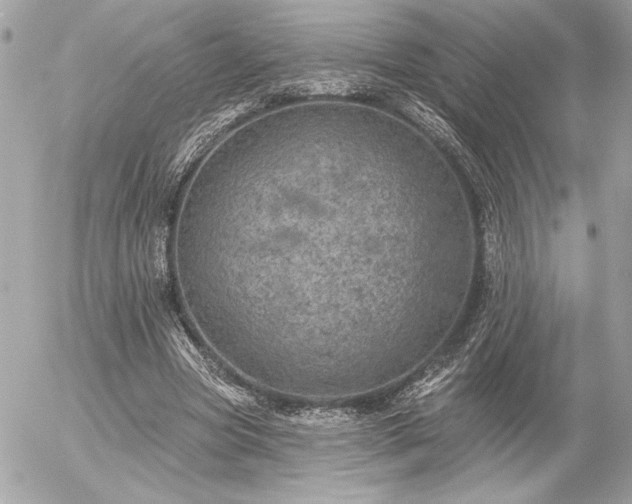 X0000055520537200508191548