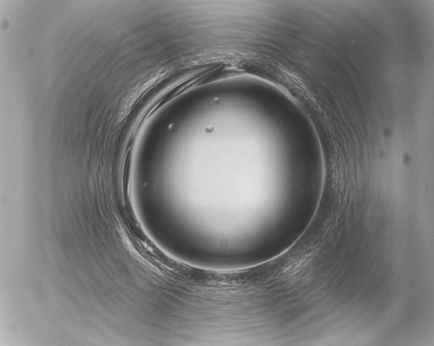 X0000055520538200508191548