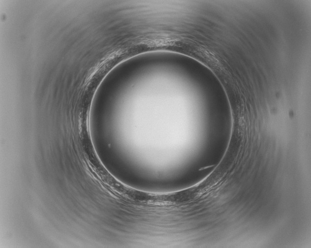 X0000055520539200508191548