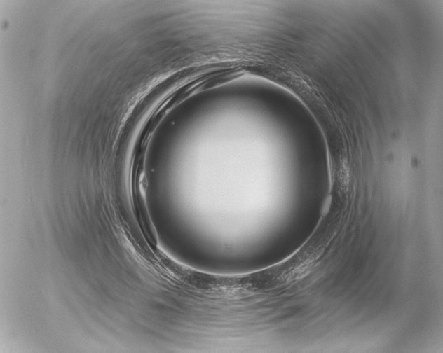 X0000055520540200508191548