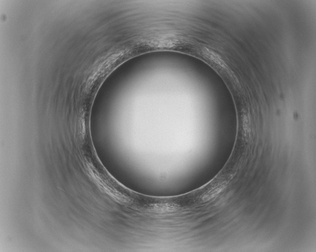 X0000055520541200508191548