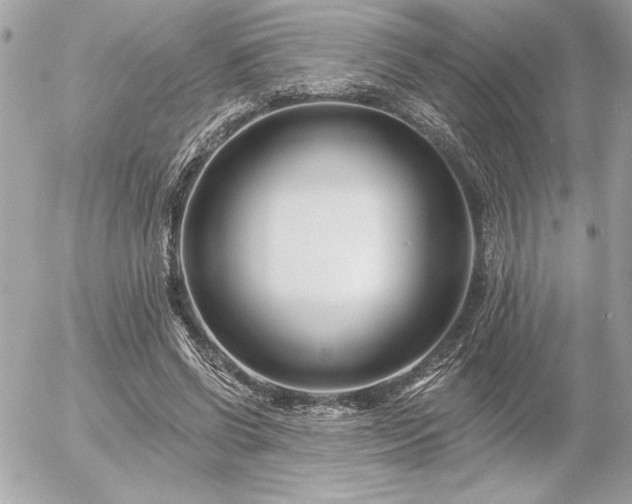 X0000055520542200508191548