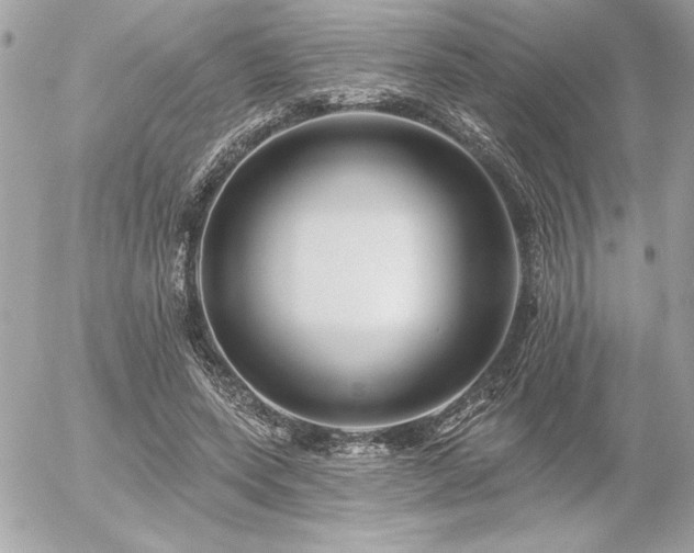 X0000055520543200508191548