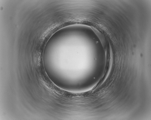 X0000055520544200508191548