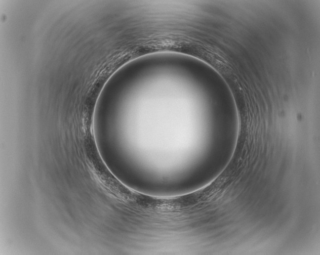 X0000055520546200508191548