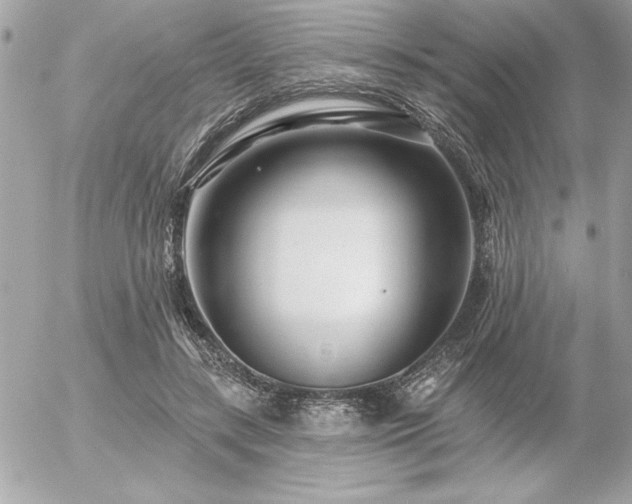 X0000055520547200508191548