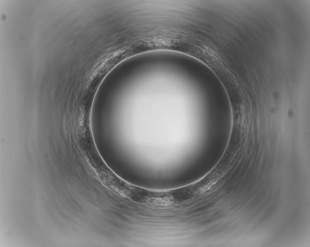 X0000055520548200508191548