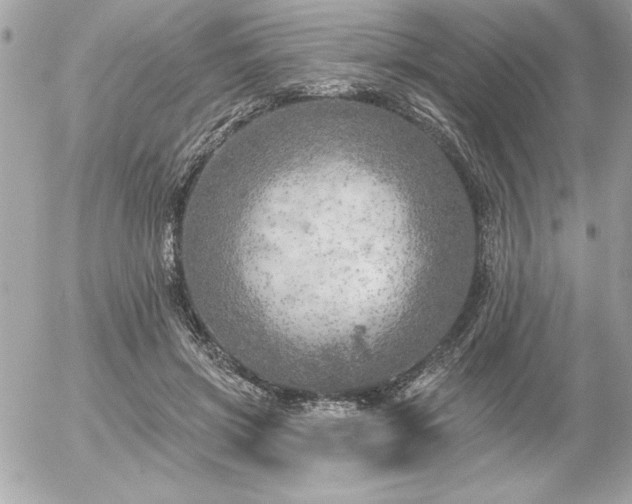 X0000055520549200508191548