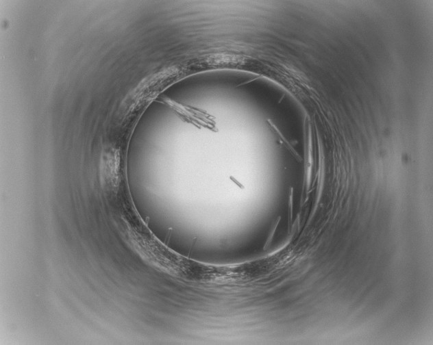 X0000055520550200508191548