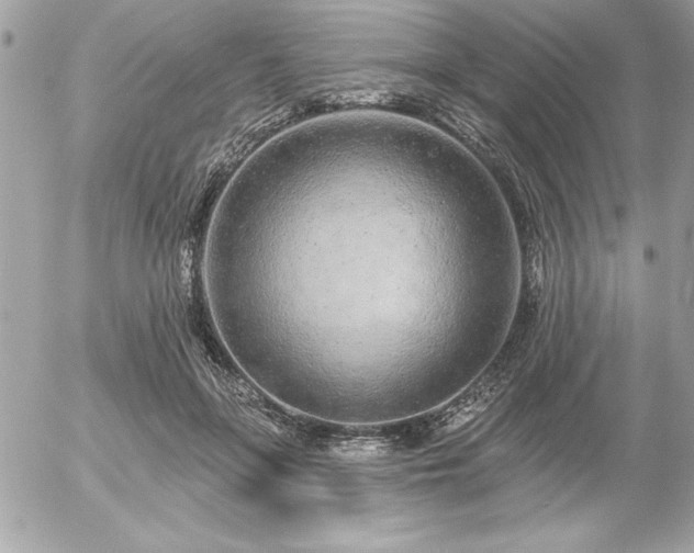 X0000055520551200508191548