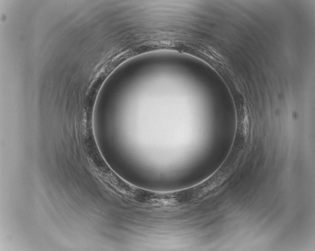 X0000055520552200508191548