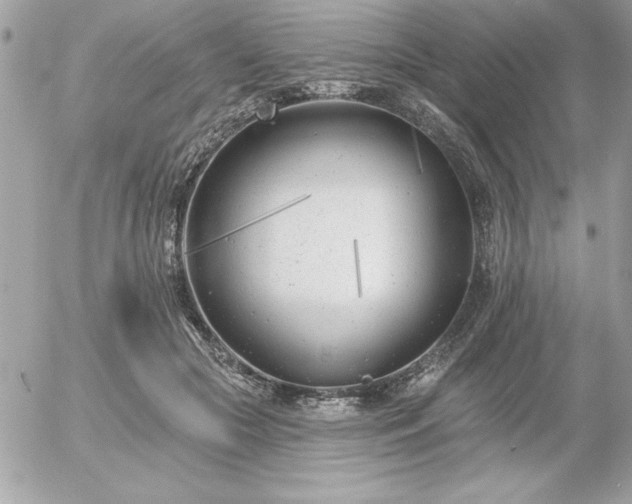 X0000055520553200508191548