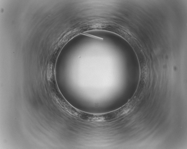 X0000055520554200508191548