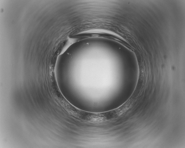 X0000055520555200508191548