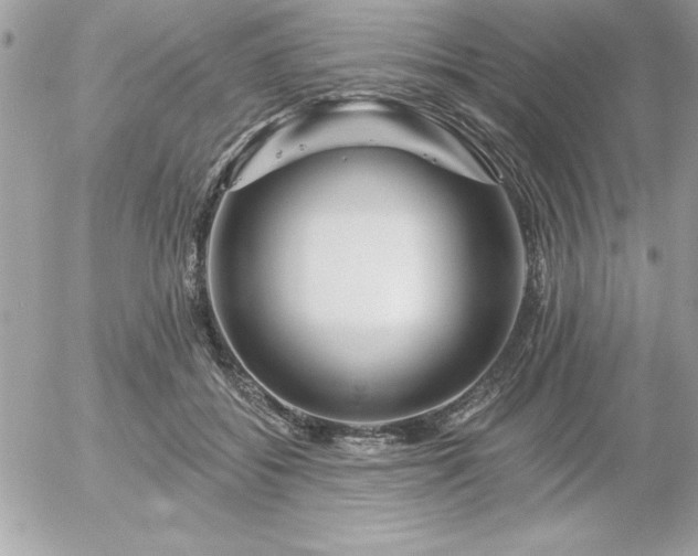 X0000055520556200508191548