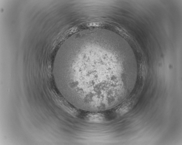 X0000055520557200508191548