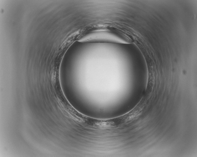 X0000055520558200508191548