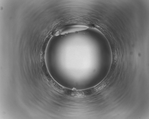 X0000055520559200508191548