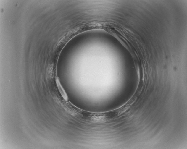 X0000055520560200508191548