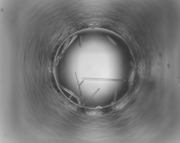 X0000055520561200508191548