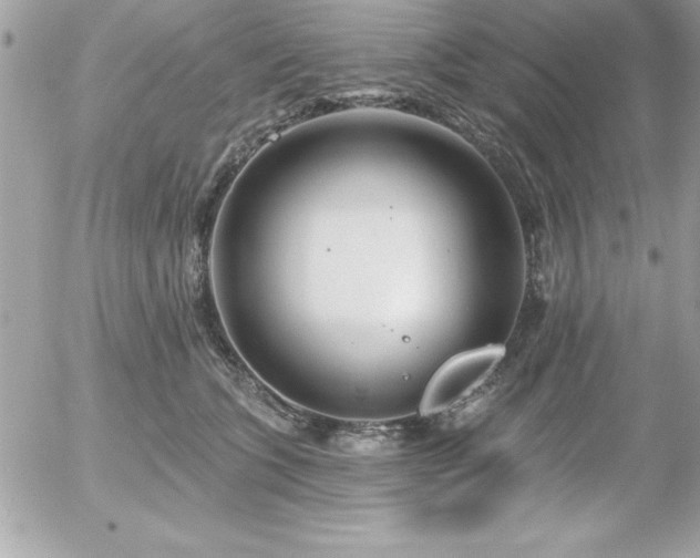 X0000055520563200508191548