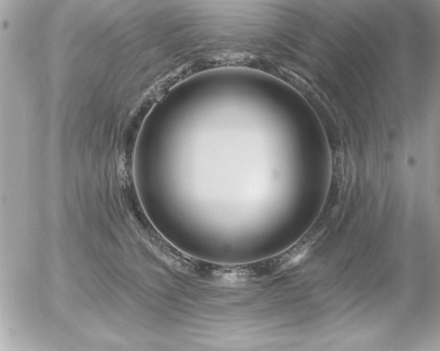 X0000055520564200508191548