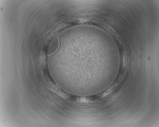 X0000055520565200508191548