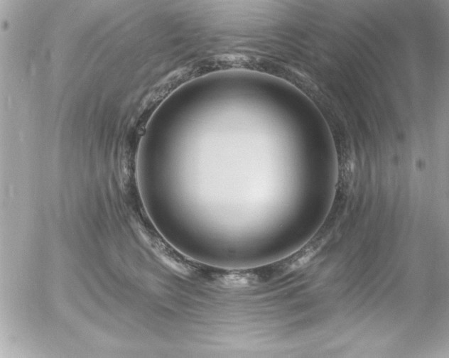 X0000055520566200508191548