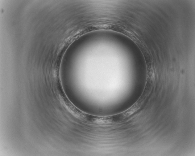 X0000055520568200508191548