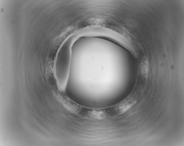 X0000055520570200508191548