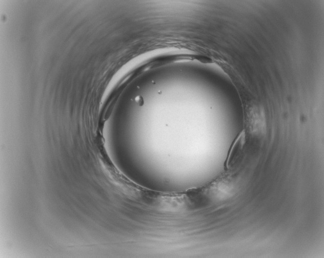 X0000055520571200508191549