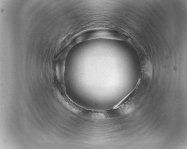 X0000055520572200508191549