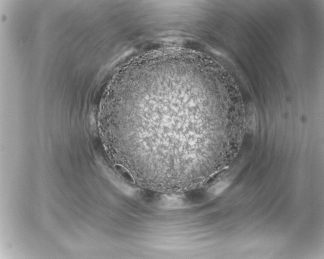 X0000055520573200508191549