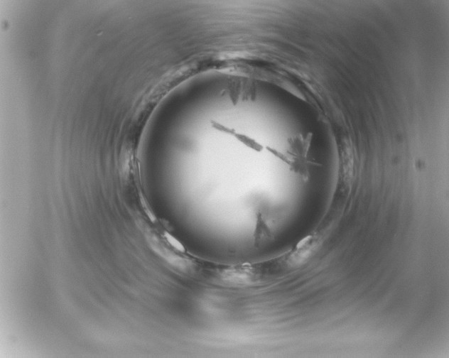 X0000055520574200508191549